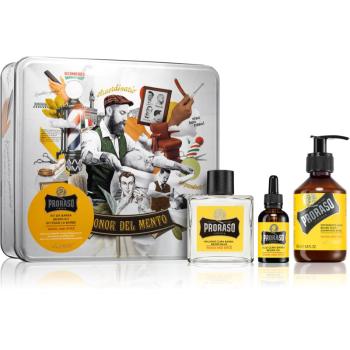 Proraso Set Beard Routine sada na bradu Wood and Spice