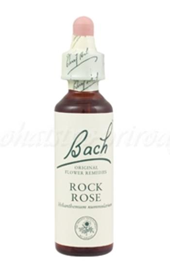 Rock Rose - Devätorník peniažtekový 20 ml - bachove kvapky