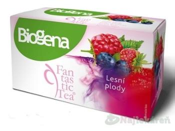 Biogena Fantastic Tea Lesné plody ovocný čaj 20x2,2 g