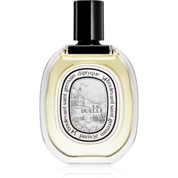 Diptyque Eau Duelle toaletná voda unisex 100 ml