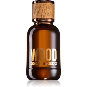 Dsquared2 Wood Pour Homme toaletná voda pre mužov 50 ml