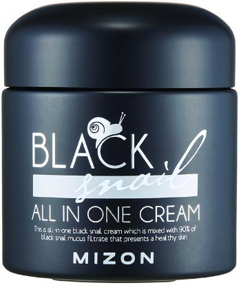 MIZON Krém proti vráskam a regeneračný krém Black Snail All In One 75 ml