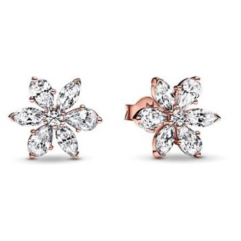 PANDORA Timeless 282407C01 (Všeobecný kov) (5700303013787)