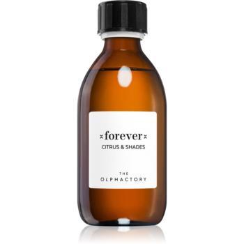 Ambientair The Olphactory Citrus & Shades náplň do aróma difuzérov Forever 250 ml