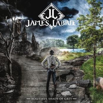 Labrie, James - Beautiful Shade of Grey, Vinyl