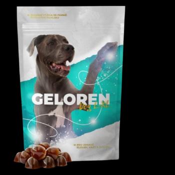 GELOREN Dog L-XL 60 tablet