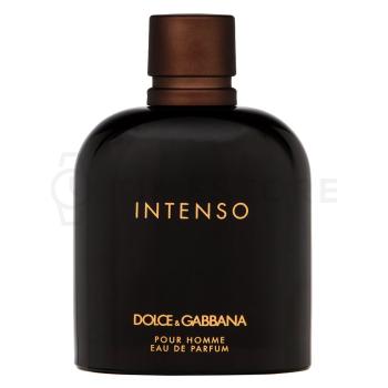 Dolce & Gabbana Pour Homme Intenso parfémovaná voda pre mužov 200 ml   - 30 dní na vrátenie tovaru, Garancia originality