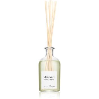 Ambientair The Olphactory Citrus & Shades aróma difuzér Forever 250 ml