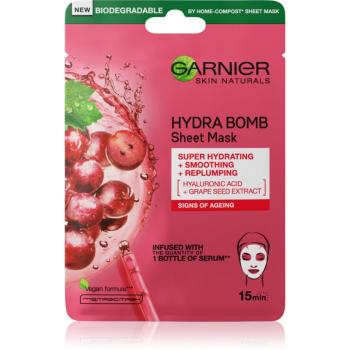 Garnier Skin Naturals Hydra Bomb vyhladzujúca plátenná maska 28 g