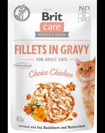 BRIT Care Cat Fillets in gravy, file de pui în sos 85 g