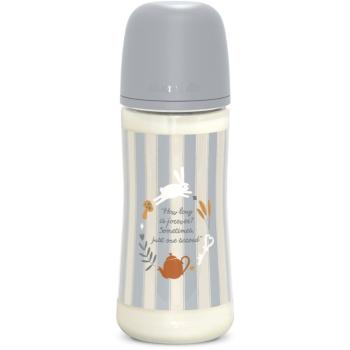 Suavinex Wonderland SX Pro Physiological Anti-Colic dojčenská fľaša L Dense Flow 6 m+ Blue 360 ml