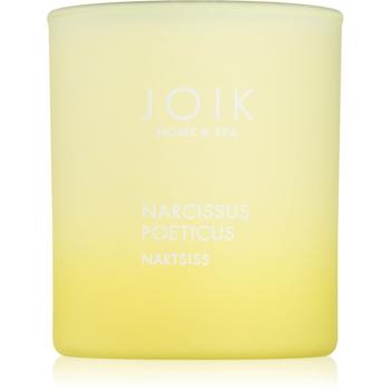 JOIK Home & Spa Narcissus vonná sviečka 150 g