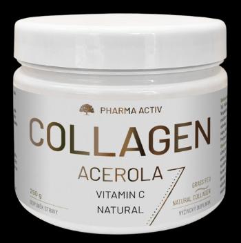 PHARMA ACTIV Collagen Acerola 250 g