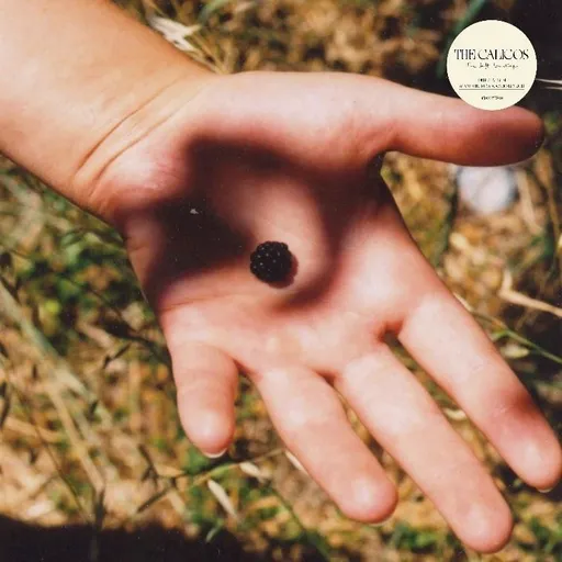 CALICOS - SOFT LANDING LP