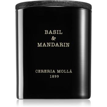 Cereria Mollá Boutique Basil & Mandarin vonná sviečka 230 g