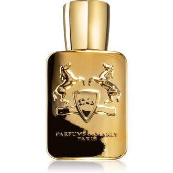 Parfums De Marly Godolphin parfumovaná voda pre mužov 75 ml