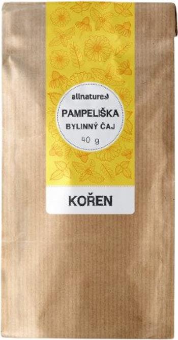 ALLNATURE Púpava koreň 40 g