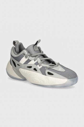 Basketbalové topánky adidas Performance Trae Unlimited 2 šedá farba, IG6690
