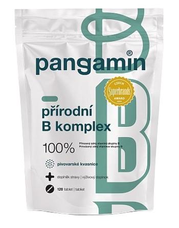 PANGAMIN Prírodný B-komplex 120 tabliet