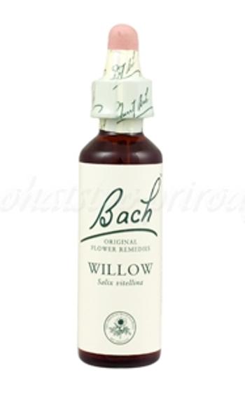 Willow - Vŕba žltá 20 ml - bachove kvapky