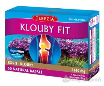 Terezia Company Klouby fit 60 kapsúl