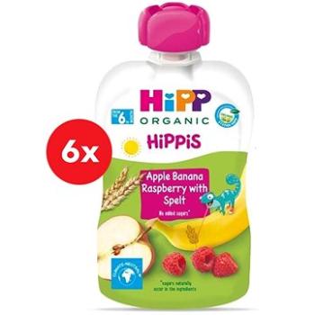 HiPP BIO Hippies Jablko-Banán-Maliny-Celozrnné obilniny 6× 100 g (9062300433804)