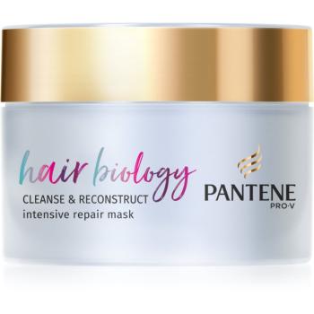 Pantene Hair Biology Cleanse & Reconstruct maska na vlasy pre mastné vlasy 160 ml