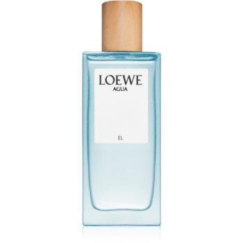 Loewe Agua Él toaletná voda pre mužov 75 ml