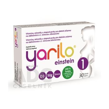 YARILO einstein 1