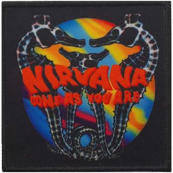 Nirvana Come As You Are