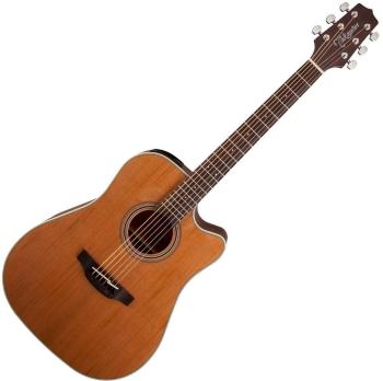 Takamine GD20CE Natural Satin Elektroakustická gitara Dreadnought