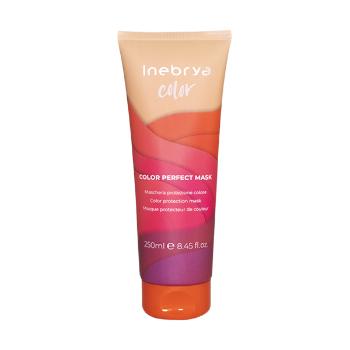 Inebrya Ochranná maska pre farbené vlasy Color Perfect ( Hair Mask) 250 ml