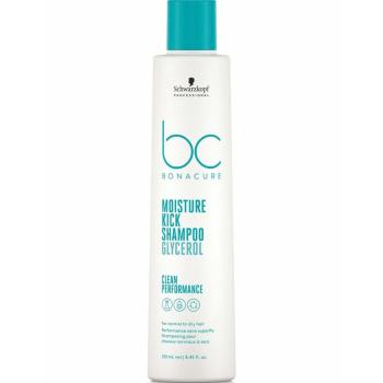 Schwarzkopf Professional Hydratačný šampón pre normálne až suché vlasy Moisture Kick (Shampoo) 1000 ml