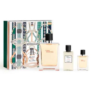 Hermes Hermes Terre D` Hermes - P 75 ml + P 12.5 ml + voda po holení 40 ml