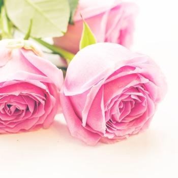Biofresh glycerínové mydlo Ruža štvorec Rose of Bulgaria 70 g