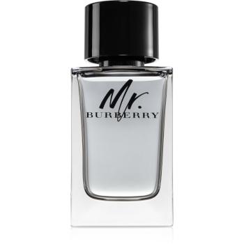 Burberry Mr. Burberry toaletná voda pre mužov 150 ml