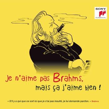 V/A - Je N'aime Pas Brahms, Mais Ça J'aime Bien !, CD