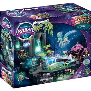 Playmobil 70800 Zdroj magickej energie (4008789708007)