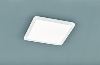 LED stropné osvetlenie Reality Camillus biela RE R62932001
