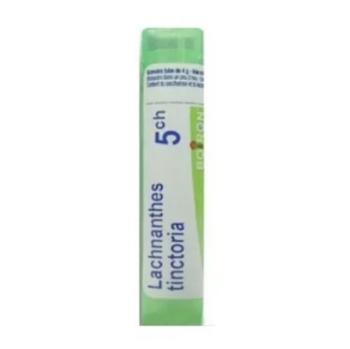 BOIRON Lachnanthes tinctoria CH5 4 g