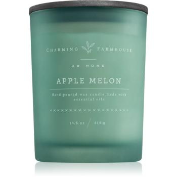 DW Home Charming Farmhouse Apple Melon vonná sviečka 414 g