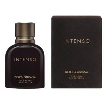 Dolce & Gabbana Pour Homme Intenso - EDP 2 ml - odstrek s rozprašovačom