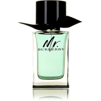 BURBERRY Mr. Burberry EdT (KPPF435nad)