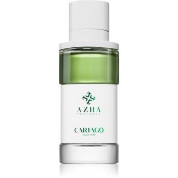 AZHA Perfumes Cartago parfumovaná voda pre mužov 100 ml