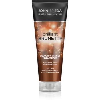 John Frieda Brilliant Brunette Colour Protecting hydratačný šampón 250 ml