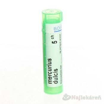 MERCURIUS DULCIS GRA HOM CH5, proti seróznej otitíde, 1x4 g