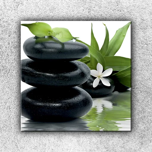 Foto na plátne Kvietok na kameňoch 1 70x70 cm