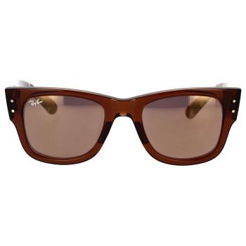 Ray-ban  Occhiali da Sole  Mega Wayfarer RB0840S 663693  Slnečné okuliare Hnedá