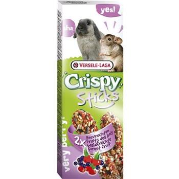 Versele Laga Crispy Sticks Forest fruit králik a činčila 110 g (5410340620625)