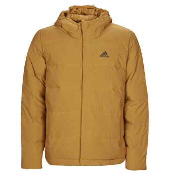 adidas  HELIONIC HO JKT  Bundy Žltá